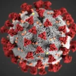 New COVID-19 Variant