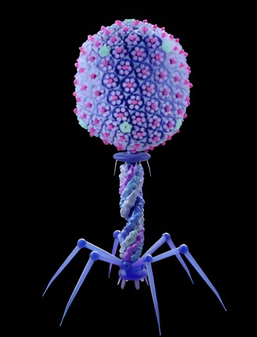 Rare Bacteria Traced to Meta AI Data